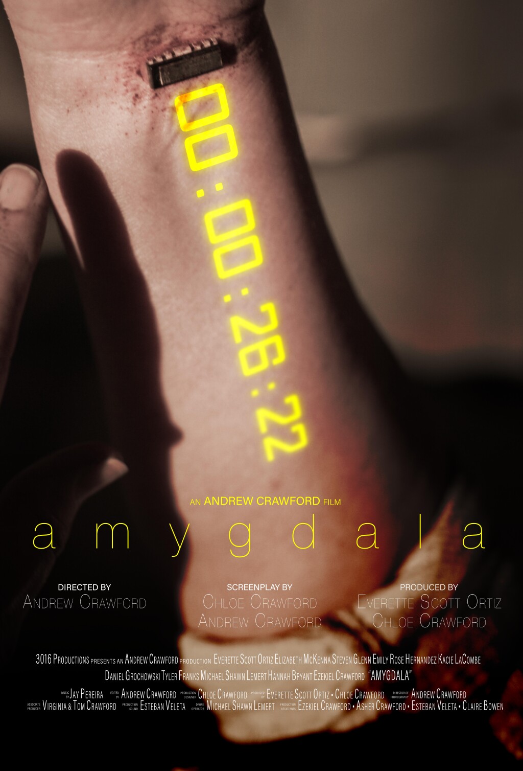 Filmposter for Amygdala